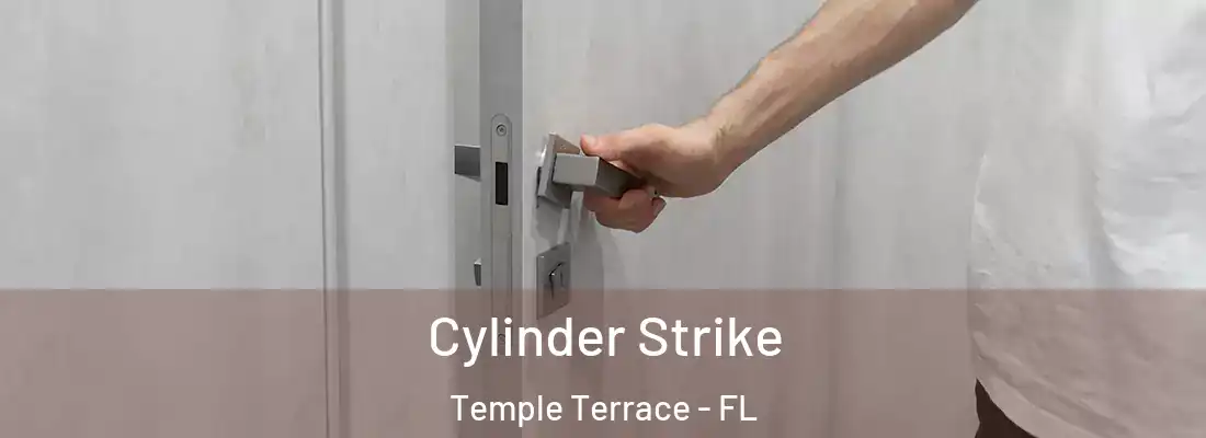 Cylinder Strike Temple Terrace - FL