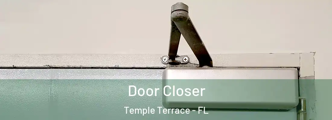 Door Closer Temple Terrace - FL