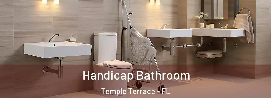 Handicap Bathroom Temple Terrace - FL