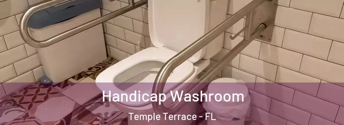 Handicap Washroom Temple Terrace - FL