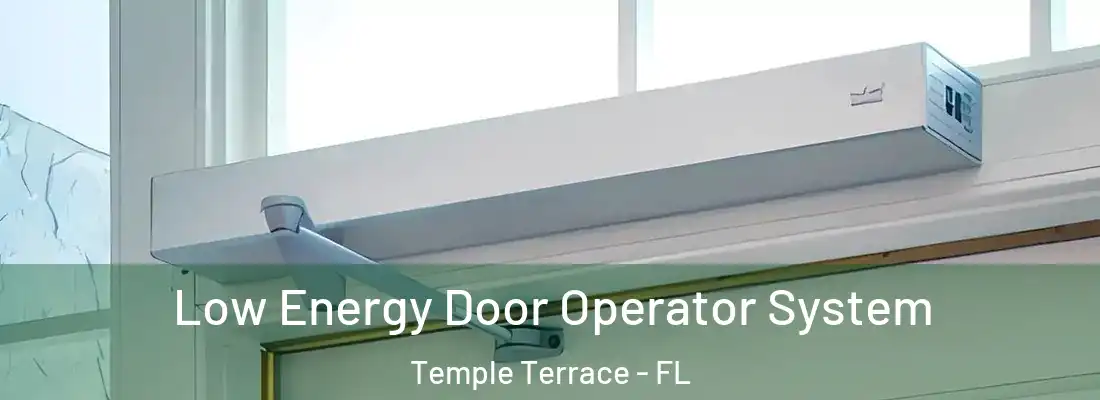 Low Energy Door Operator System Temple Terrace - FL