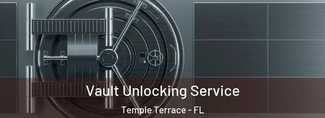 Vault Unlocking Service Temple Terrace - FL